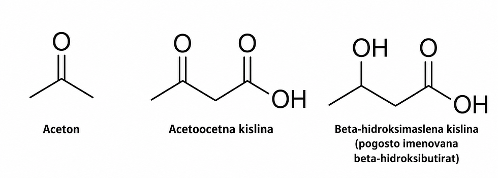Strukturne formule ketonskih teles