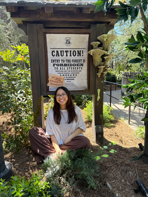 Forbidden Forest Caution Sign