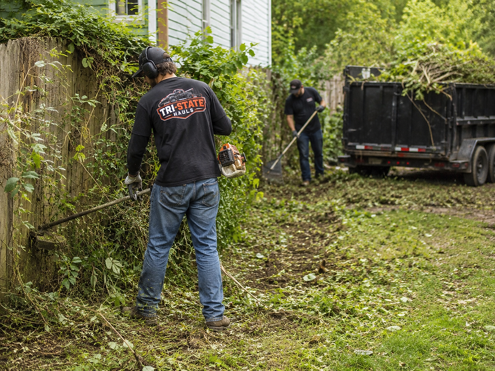 Overgrown Yard Cleanup & Brush Control