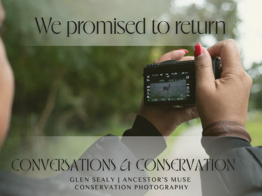 We promised to return