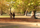 Sunday mornings in Autumn - October 2025-2.jpg