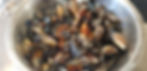 Mussels