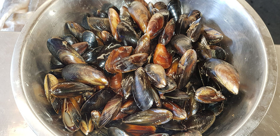 Mussels