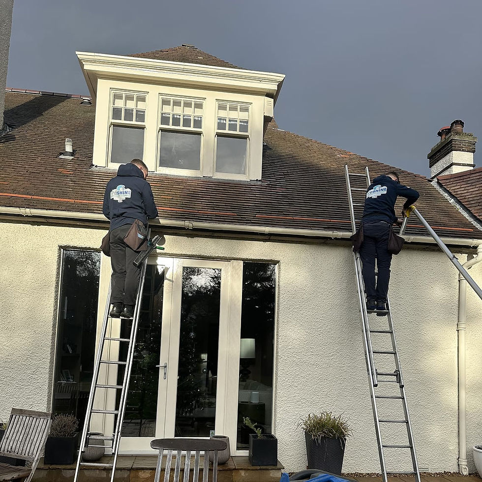 roof_and_gutter.jpg