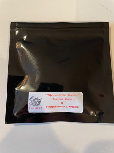 Tropicanna Punch Bread Butta Seeds