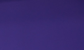 14470052.jpg