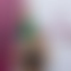 Indira Vizcaíno anuncia rehabilitación profunda de la unidad deportiva ‘5 de Mayo’ de Manzanillo