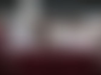 Rosi Bayardo va por la recuperación del Centro Histórico: crea comisión especial para su reactivación