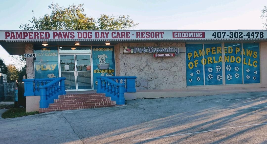 Pampered Paws Dog Day Care
