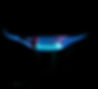 Brûleur gaz