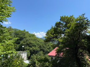 夏本番に 2025/8/1