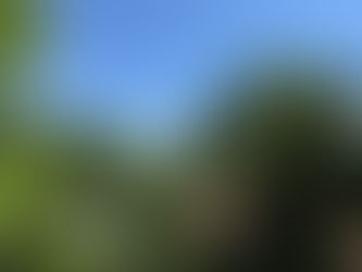 夏本番に 2025/8/1