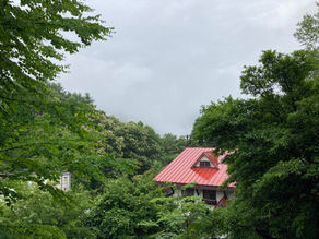 昨日からに続き雨