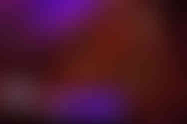 Innocence Project Gala 2025