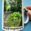 Thumbnail:  Coffee Mug Adams Rd