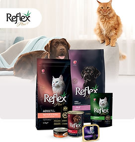 Reflex Plus.jpg