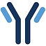 antibody.jpg