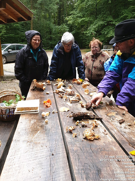 Sortie du 27.09.20
