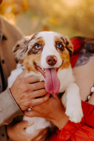 558916000_1395325215928241_2535021734921508724_n