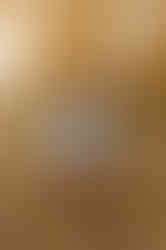 557556891_1389509549843141_8212504913880412440_n