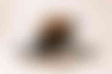 630462194_1501057188688376_1705421036281652751_n