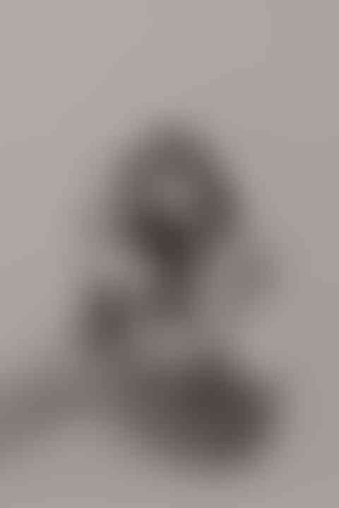 637983843_1510640137730081_3051528166743179032_n