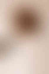 629776046_1501059525354809_3762018051902532670_n