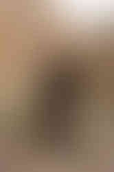 690339758_1585183866942374_1032344207837595106_n