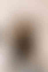 630551916_1501054488688646_2012707586702015226_n