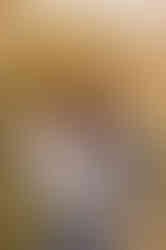 559965518_1393715769422519_8062082190589795534_n