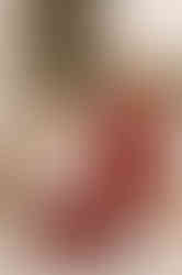 584062394_1429668652493897_5065581417139663755_n