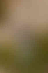 756436713_1669305441863549_904557250384724767_n