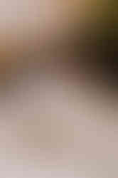 501173865_1277209647739799_4560189404696223035_n