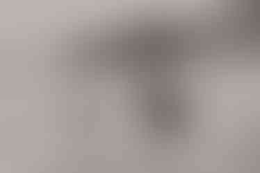690877662_1582135953913832_5961489544079506465_n