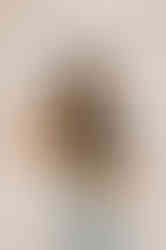 651180797_1531874492273312_8832866196732071040_n