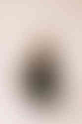 629825474_1501055378688557_7048990068926135367_n