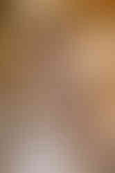 557231792_1385145743612855_1517905133165459215_n