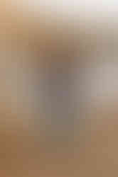 492502511_1242098747917556_1235550133827740993_n