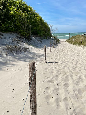 Weststrand in Prerow