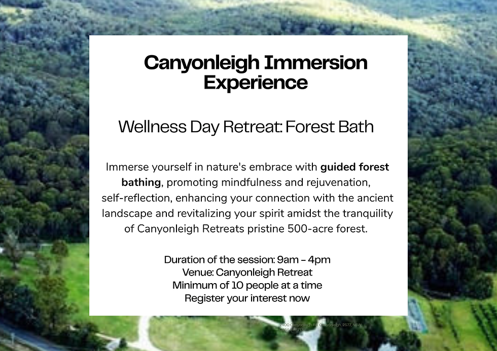 Canyonleigh Nature Immersion Experience