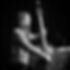 St. Charles, Illinois Jazz Weekend Performers