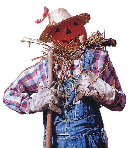 Scarecrow Weekend_edited.png