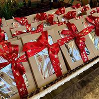 St. Charles Aquatics.jpg