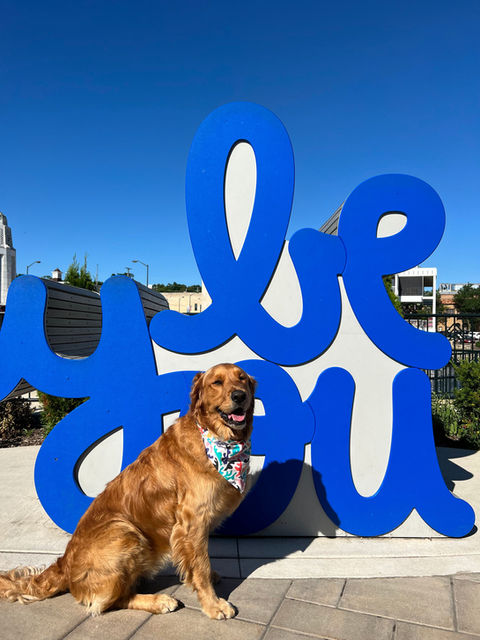 Dog Instagrammable 6.jpeg