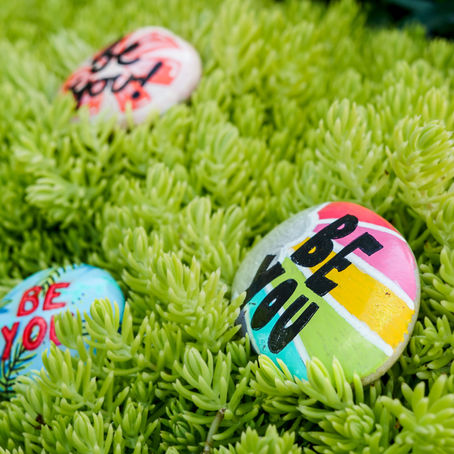 The 3rd Annual "Be You" Rock Hunt Returns in St. Charles, IL