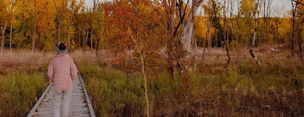 Fall in St. Charles.jpg