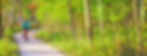 Biking in St. Charles.jpg