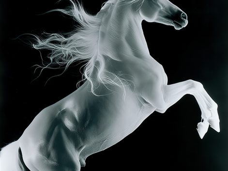 Where 2026 Will Change You — Based on Your Birth Chart (Fire Horse Year Guide)