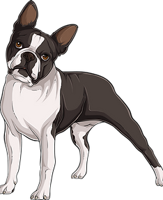 pup.png
