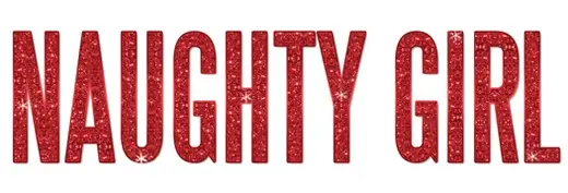 The Naughty Girl Shop logo